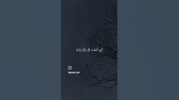 سورة النمل #فارس_عباد #قران_كريم #فذكر_فإن_الذكرى_تنفع_المؤمنين