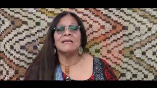 La Lucha De Los Pueblos Originarios En Argentina