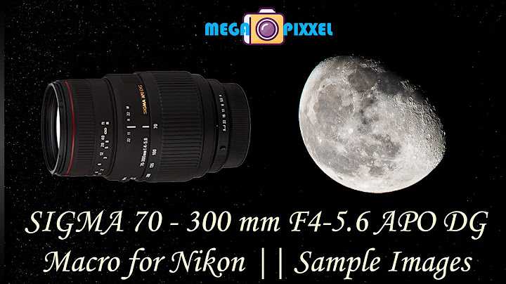 Sigma 70-300 f4-5.6 for nikon macro đánh giá năm 2024