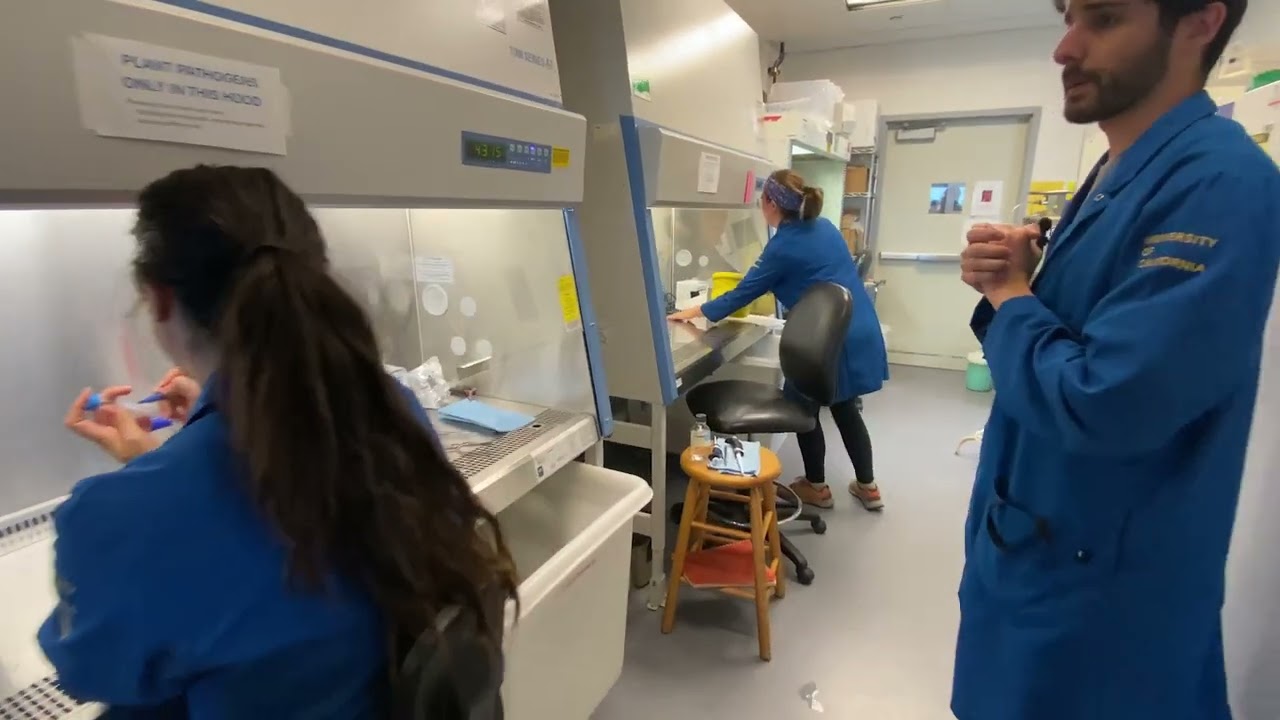 Contemporary and future approaches to plant breeding