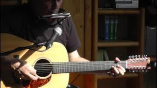 My Heart Will Go On - Celine Dion (cover: harmonica/12 string)