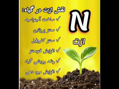 عناصر پر مصرف