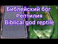 Антихрист/ Библейский бог рептилия