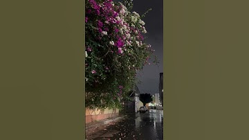 #اكسبلور #لايك # قرآن # تلاوات #