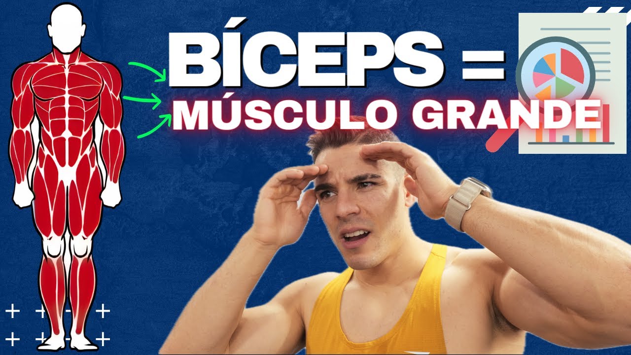 RUTINA de MÚSCULOS GRANDES vs PEQUEÑOS ❌ ¿Qué dice la CIENCIA del ENTRENAMIENTO? ¿MITO o REALIDAD?