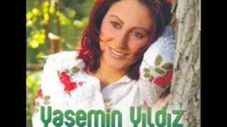 Yasemin Yıldız: Mati Vulur Resimi