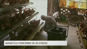 How is the avian flu affecting West Michigan?