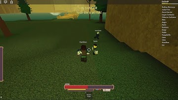 Roblox Rogue Lineage ~ This exploiter is so bad