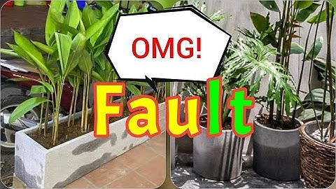 Các lỗi thường gặp trên chậu xi măng nhẹ - Common mistakes on modern lightweight cement pots