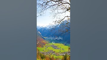 يا بني انها ان تك مثقال حبة من خردل - سورة لقمان | الآية ١٦
