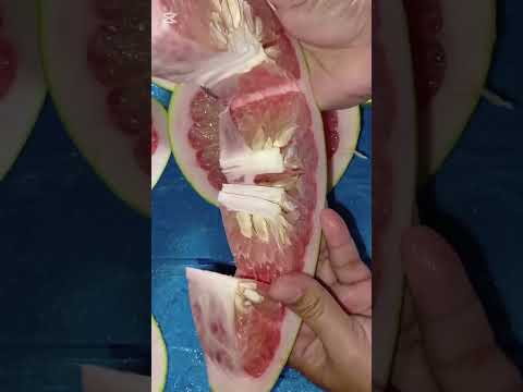 Highlight from Cutting Pomelo Fruit's (What Inside)!!!#youtubeshorts