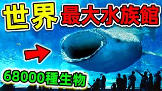 全世界最大的10個超級水族館台灣只排第10美國排名第4第一名讓人意外超過68000個海洋生物世界之最Top 世界之最 出類拔萃 腦洞大開 最大水族館