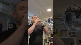 The Greatest Showman Trumpet - A Million Dreams