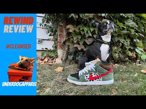 The BEST (in my opinion) 420 Shoe | Nike Dunk High SB "Walk The Dog" Rewind Review/On-Feet #sneakers