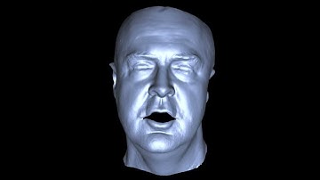 High-quality passive facial performance capture using anchor frames (SIGGRAPH 2011) [Geometry]