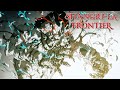 Armor? Obliterated | Shangri-la Frontier