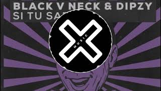 Black V Neck & Dipzy - Si Tu Sabe [Pain And Pleasure EP] Resimi