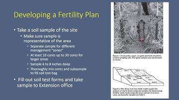 Agronomic Management of Hemp: Part 1 - Site Selection and Soil Fertility