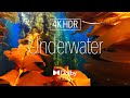 Apple Vision Pro  |  Underwater ｜ Dolby Vision™