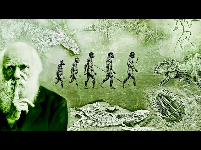 What Darwin Never Knew