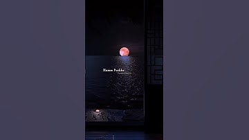 Sochta Hoon 💌✨ | whatsapp status |  slowed+reverb | #trending #lyrics #viralvideo #love #shorts