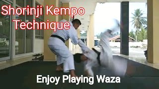 Shorinji Kempo - Goho (Hard Technique)   and Juho (Soft Technique) Resimi