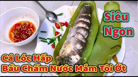 Vui Chơi TV - Cá Lóc Hấp Bầu Chấm Nước Mắm Siêu Ngon