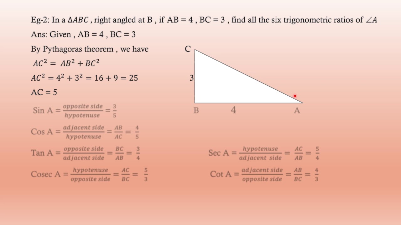 case study questions class 10 introduction to trigonometry