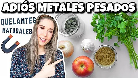 ¿Qué alimentos contienen menos metales pesados?