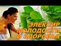 Эликсир молодости и здоровья! Зеленый коктейль с крапивой)