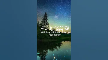 تلاوة من سورة المائدة بصوت القارىء عبد الرحمن مسعد قرآن 