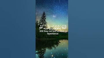 تلاوة من سورة المائدة بصوت القارىء: عبد الرحمن مسعد  #قرآن