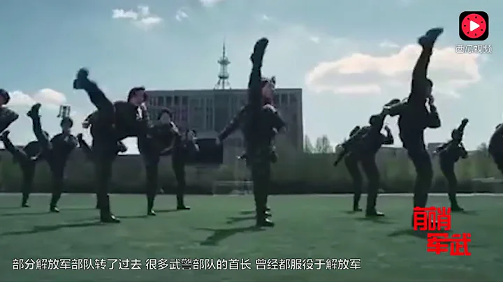 武警和警察、解放军有什么区别？看完视频你还觉得武警是警察吗？ - 天天要闻