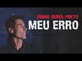 Dinho ouro preto  meu erro paralamas do sucesso