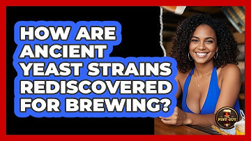 How Are Ancient Yeast Strains Rediscovered For Brewing? - The Pint Guy