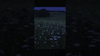 Money Flip - Numb