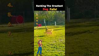 Dogs Being Derps: The ULTIMATE Fail Compilation (You Won't Believe #3!) 🤣🦮 #shorts #dog #fails
