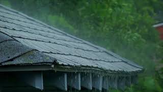 Heavy Rain on Roof sound for Deep Sleep- 8 hours/ overcome stress and relax your mind by Rain Sound 90 views 1 day ago 8 hours