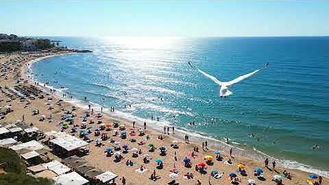 a62a63e2 6499 4681 9eb0 458be3dbf24c