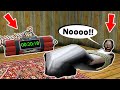 Who will save Granny ?!? - funny horror animation parody (30 min funny episodes)