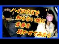 ハイロウズを知らない娘に青春聴かせてみたら【THE HIGH-LOWS】