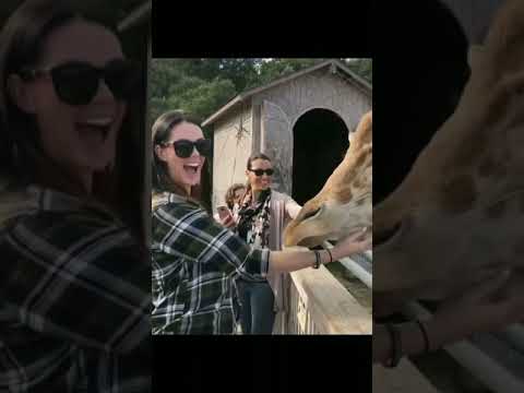 Alison Tyler at Zoo || Adult Family #shorts