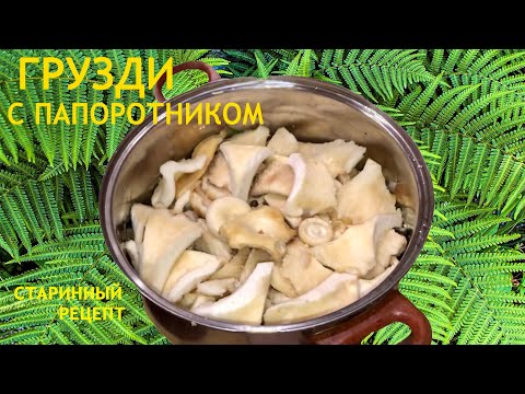 Грибы грузди соленые с папоротником. Потрясающе хрустящие и вкусные грибы! Старинный рецепт!