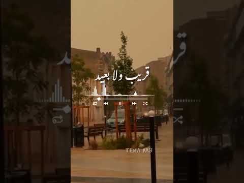 محمد حماقى سنة سنتين مفيش فايده