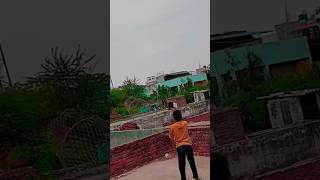 Kabutar bazi ✨️😎 He  🕊 || 🙏💪  Lala🫂