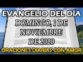 Evangelio del día Domingo, 1 de Noviembre de 2020 - Estén alegres y contentos...