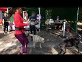 Futóverseny, ahol a gazdik a kutyáikkal közösen állnak rajthoz (Ásotthalom, Gárgyán erdő)
