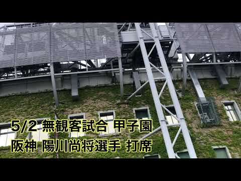21.5.2 無観客試合の甲子園球場から聞こえる阪神 陽川尚将選手 ヒッティングマーチ