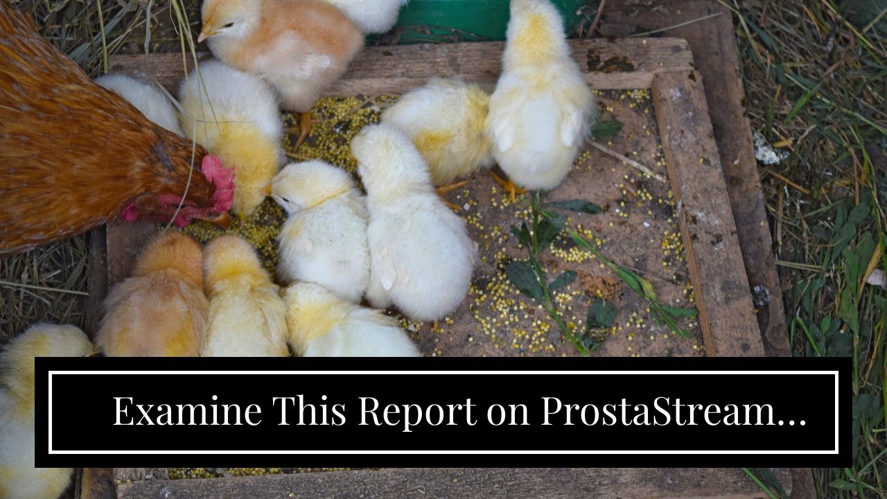 Examine This Report on ProstaStream Reviews – An Advanced Prostate Health