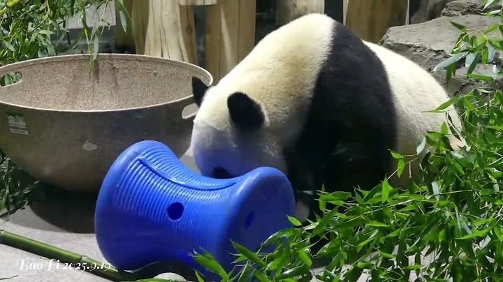 A Date With ** 🧡Bao Li🧡  9/19/2025